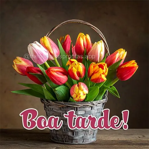 Boa tarde!