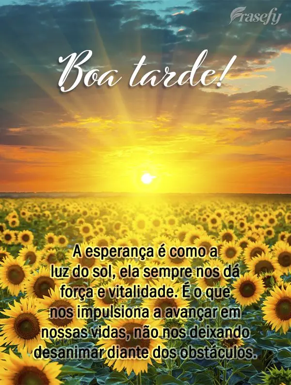 A esperança é como a luz do sol, ela sempre nos dá força e vitalidade. É o que nos impulsiona a avançar em nossas vidas, não nos deixando desanima...