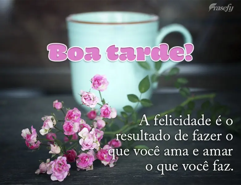 A felicidade é o resultado de fazer o que você ama e amar o que você faz. Boa tarde!
