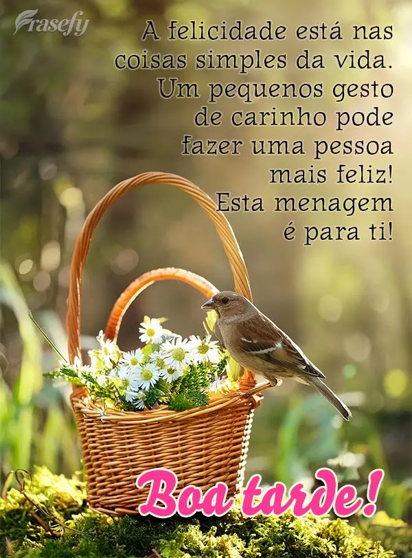 A felicidade está nas coisas simples da vida. Um pequenos gesto de carinho pode fazer uma pessoa mais feliz! Esta menagem é para ti! Boa tarde!