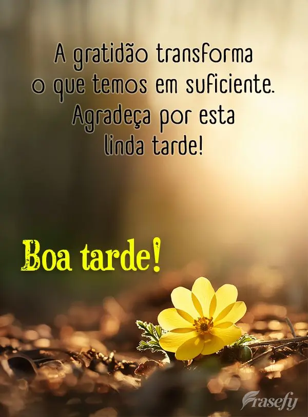 A gratidão transforma o que temos em suficiente. Agradeça por esta linda tarde! Boa tarde!