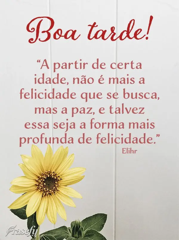 “A partir de certa idade, não é mais a felicidade que se busca, mas a paz, e talvez essa seja a forma mais profunda de felicidade.” Boa tarde! Elih...