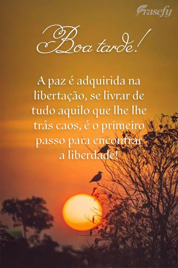 A paz é adquirida na libertação, se livrar de tudo aquilo que lhe lhe trás caos, é o primeiro passo para encontrar a liberdade! Boa tarde!