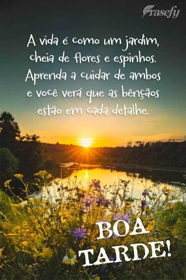 A vida é como um jardim, cheia de flores e espinhos. Aprenda a cuidar de ambos e você verá que as bênçãos estão em cada detalhe. Boa tarde!