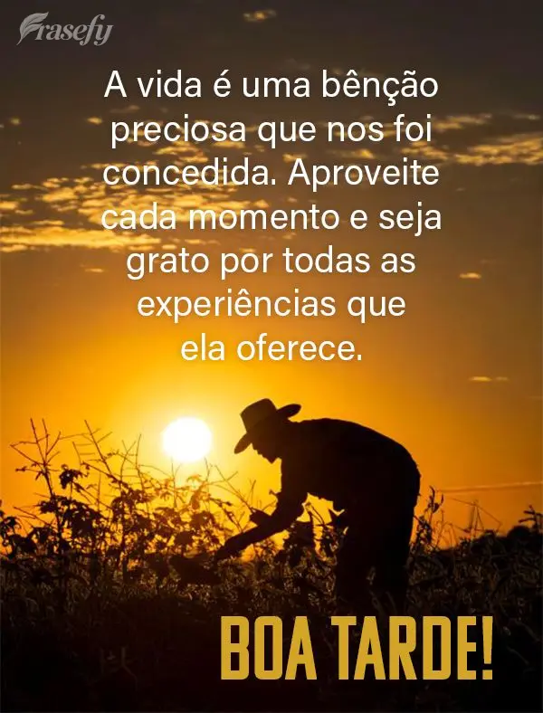 A vida é uma bênção preciosa que nos foi concedida. Aproveite cada momento e seja grato por todas as experiências que ela oferece. Boa tarde!
