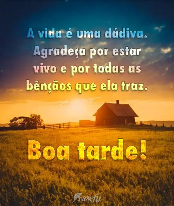 A vida é uma dádiva. Agradeça por estar vivo e por todas as bênçãos que ela traz. Boa tarde!