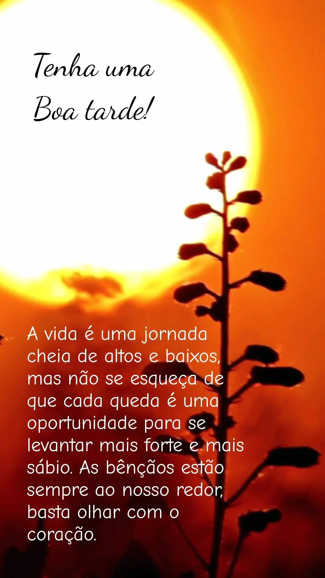 A vida é uma jornada cheia de altos e baixos, mas não se esqueça de que cada queda é uma oportunidade para se levantar mais forte e mais sábio. As b...