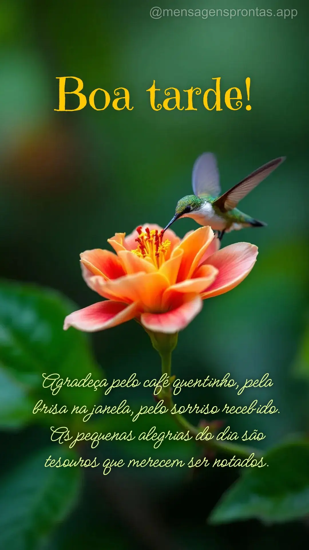Agradeça pelo café quentinho, pela brisa na janela, pelo sorriso recebido. As pequenas alegrias do dia são tesouros que merecem ser notados. Boa tarde...