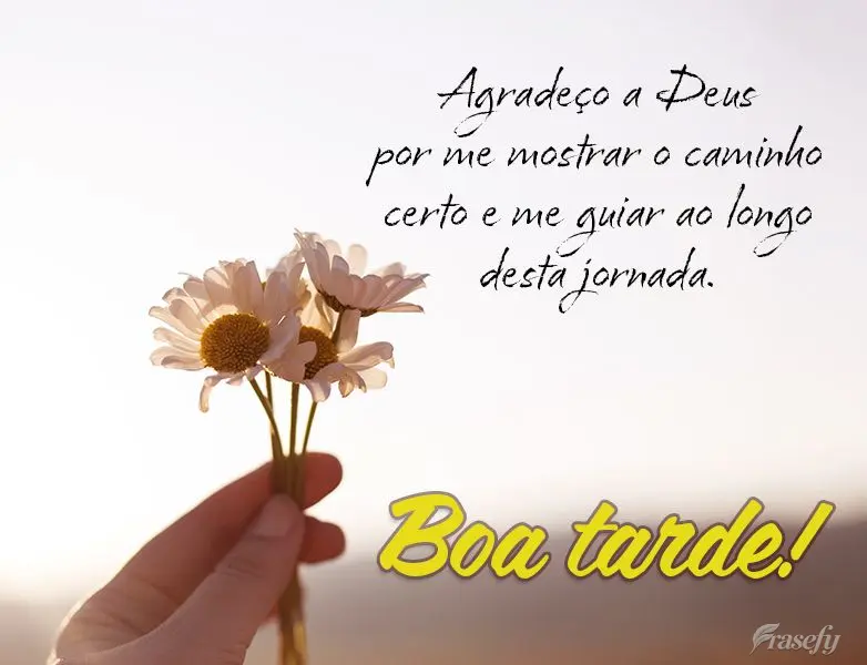 Agradeço a Deus por me mostrar o caminho certo e me guiar ao longo desta jornada. Boa tarde!