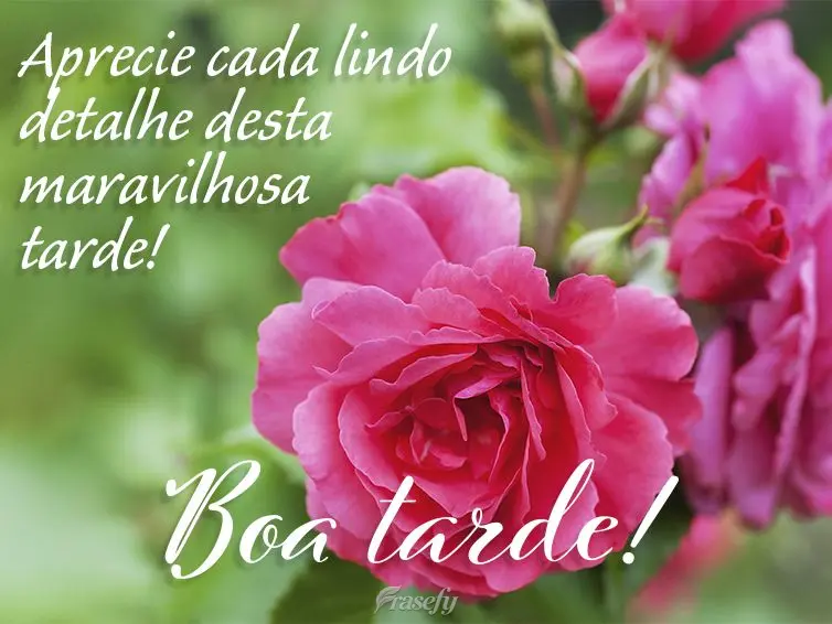 Aprecie cada lindo detalhe desta maravilhosa tarde! Boa tarde! 
