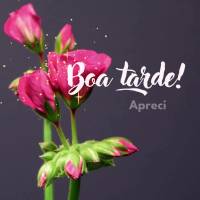 Aprecie os pequenos mimos cheios de carinho e amor! Boa tarde!