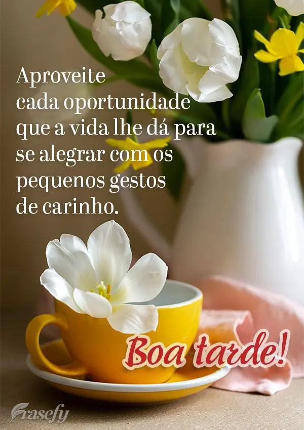Aproveite cada oportunidade que a vida lhe dá para se alegrar com os pequenos gestos de carinho. Boa tarde!