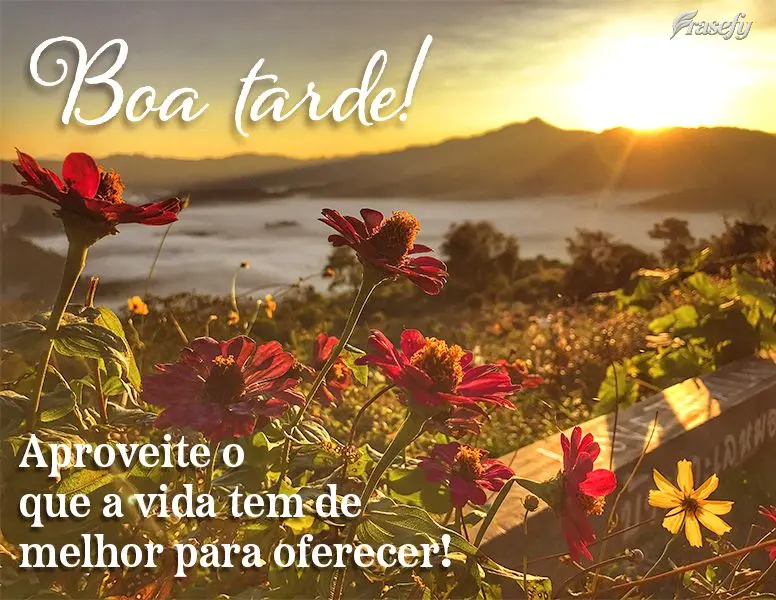 Aproveite o que a vida tem de melhor para oferecer! Boa tarde!