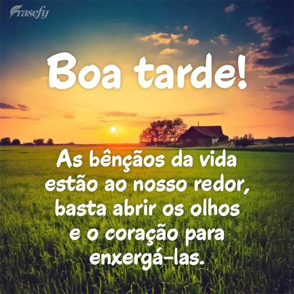 As bênçãos da vida estão ao nosso redor, basta abrir os olhos e o coração para enxergá-las. Boa tarde!