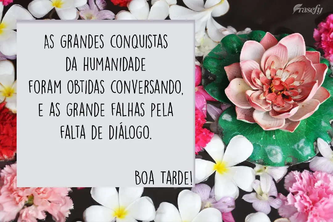 As grandes conquistas da humanidade foram obtidas conversando, e as grandes falhas pela falta de diálogo. Boa Tarde!
