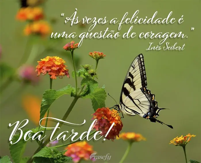 “Às vezes a felicidade é uma questão de coragem.” Boa tarde! Inês Seibert
