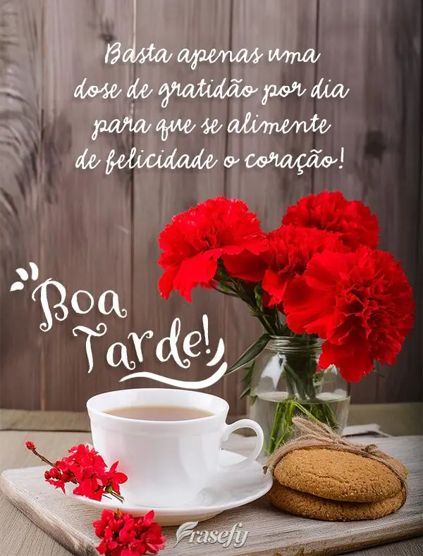 Basta apenas uma dose de gratidão por dia para que se alimente de felicidade o coração! Boa tarde!