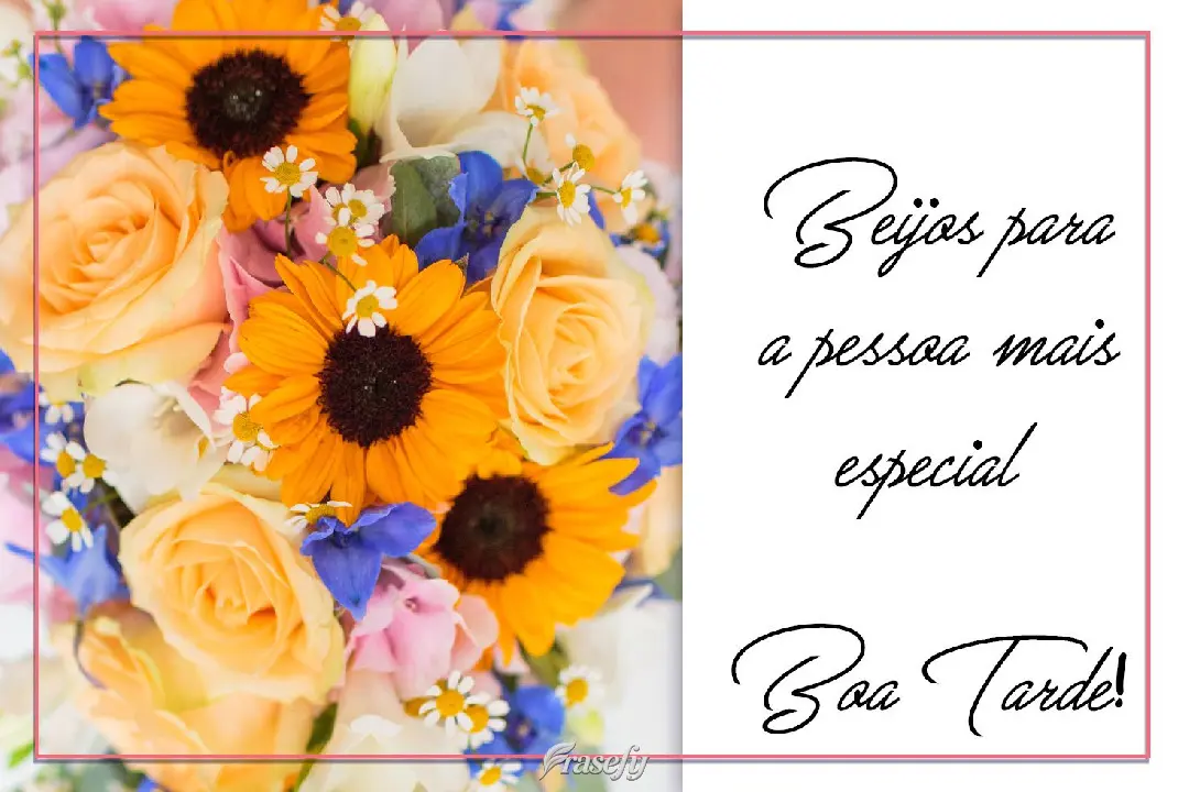 Beijos para a pessoa mais especial.   Boa Tarde!