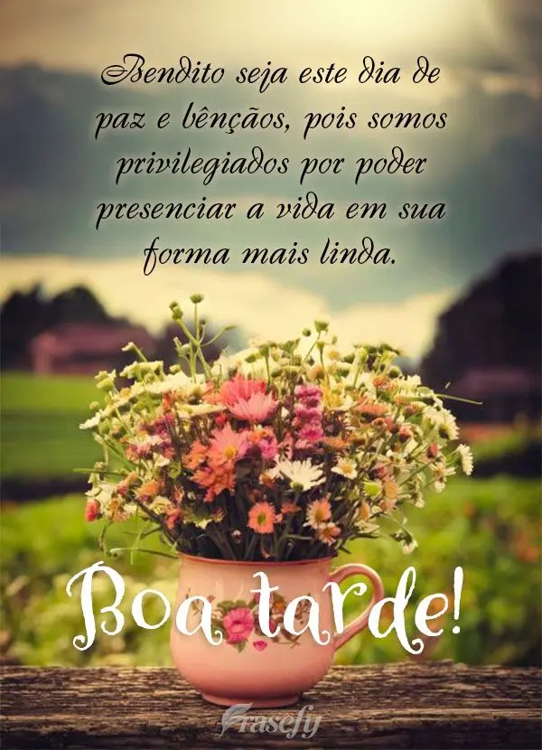 Bendito seja este dia de paz e bênçãos, pois somos privilegiados por poder presenciar a vida em sua forma mais linda. Boa tarde!