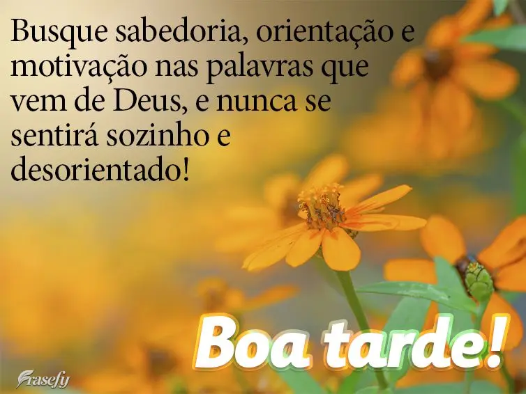 Busque sabedoria, orientação e motivação nas palavras que vem de Deus, e nunca se sentirá sozinho e desorientado! Boa tarde!