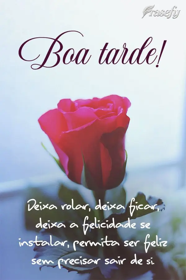 Deixa rolar, deixa ficar, deixa a felicidade se instalar, permita ser feliz sem precisar sair de si. Boa tarde! 