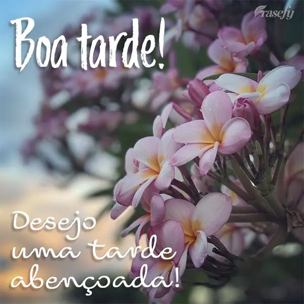 Desejo uma tarde abençoada! Boa tarde! 