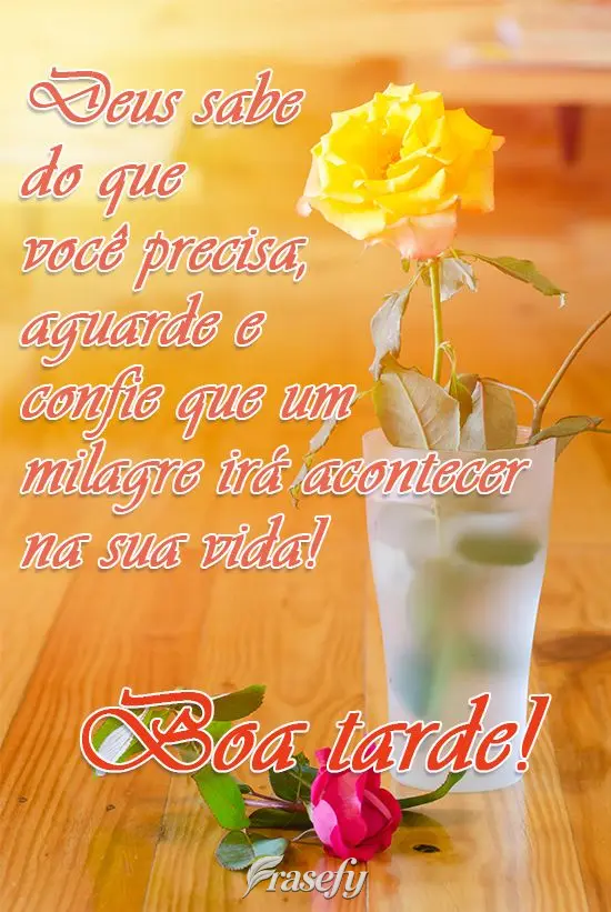 Deus sabe do que você precisa, aguarde e confie que um milagre irá acontecer na sua vida!  Boa Tarde! 