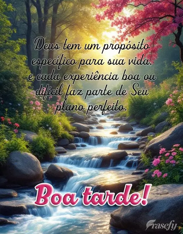 Deus tem um propósito específico para sua vida, e cada experiência - boa ou difícil - faz parte de Seu plano perfeito. Boa tarde!