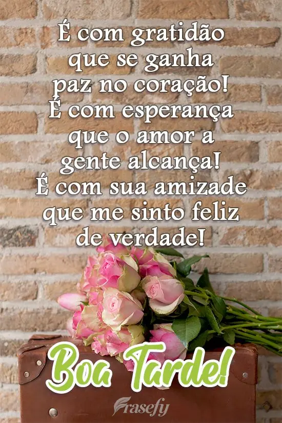 É com gratidão que se ganha paz no coração! É com esperança que o amor a gente alcança! É com sua amizade que me sinto feliz de verdade!  Boa Tar...
