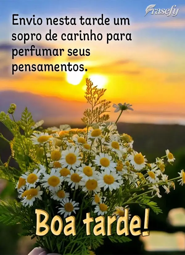 Envio nesta tarde um sopro de carinho para perfumar seus pensamentos. Boa tarde!