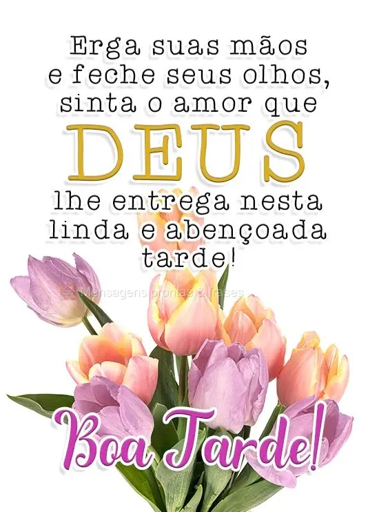 Erga suas mãos e feche seus olhos, sinta o amor que Deus lhe entrega nesta linda e abençoada tarde! 
 Boa Tarde!