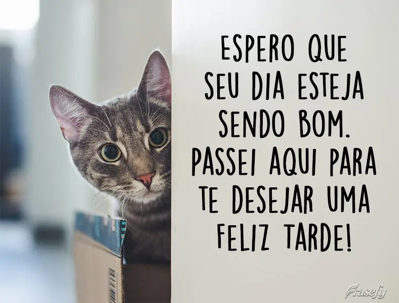Espero que seu dia esteja sendo bom. Passei aqui para  te desejar uma Feliz Tarde!

