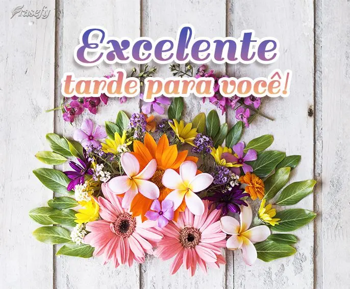Excelente tarde para você!