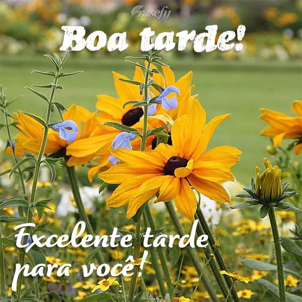 Excelente tarde para você! Boa tarde!