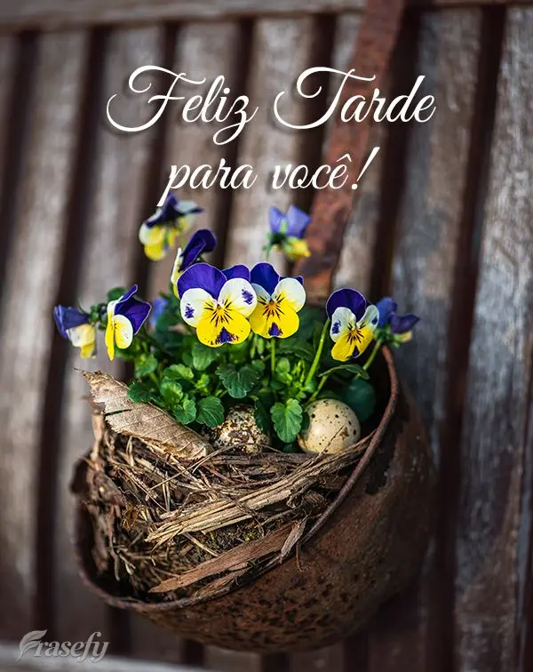 Feliz tarde para você!