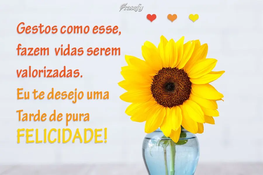 Gestos como esse, fazem  vidas serem valorizadas. Eu te desejo uma Tarde de pura felicidade!