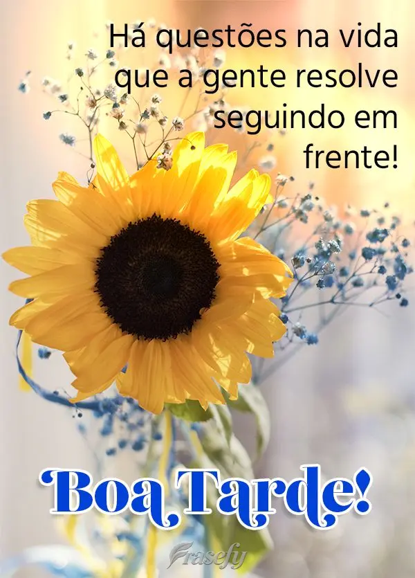 Há questões na vida que a gente resolve seguindo em frente! Boa tarde!