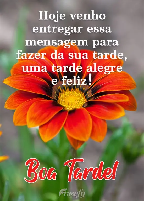 Hoje venho entregar essa mensagem para fazer da sua tarde, uma tarde alegre e feliz!  Boa Tarde!