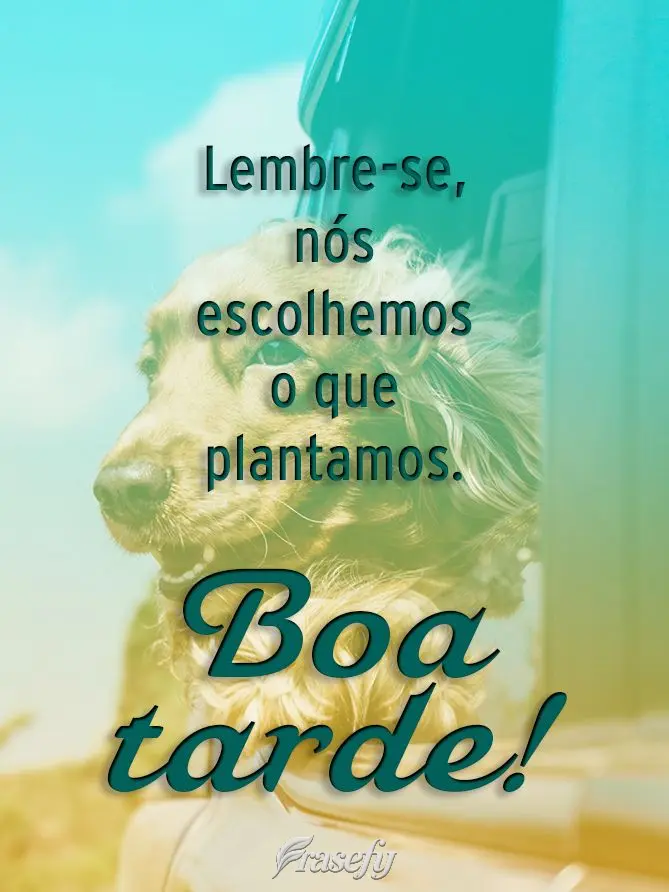  Lembre-se, nós escolhemos o que plantamos. 
 Boa tarde!