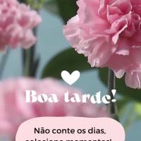 Não conte os dias, colecione momentos! Boa tarde!