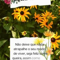 Não deixe que nada atrapalhe o seu modo de viver, seja feliz como queira, assim como eu desejo a felicidade para você!  Feliz tarde!