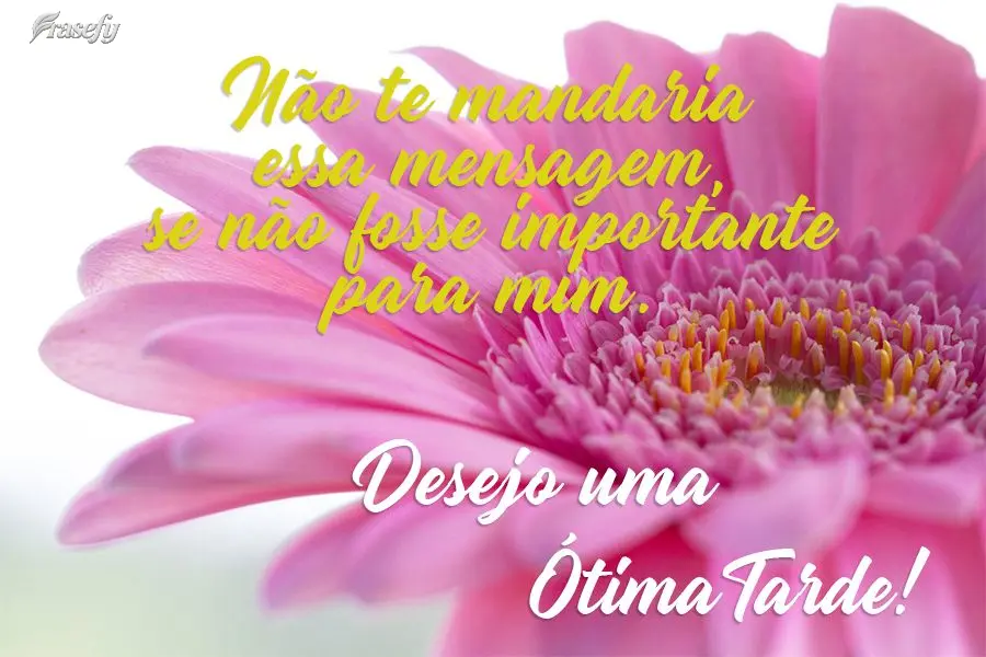Não te mandaria essa mensagem se não fosse importante para mim.  Desejo uma Ótima Tarde!