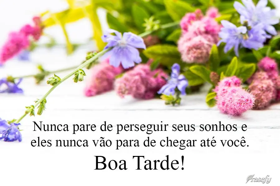 Nunca pare de perseguir seus sonhos e eles nunca vão parar de chegar até você.  Boa Tarde!