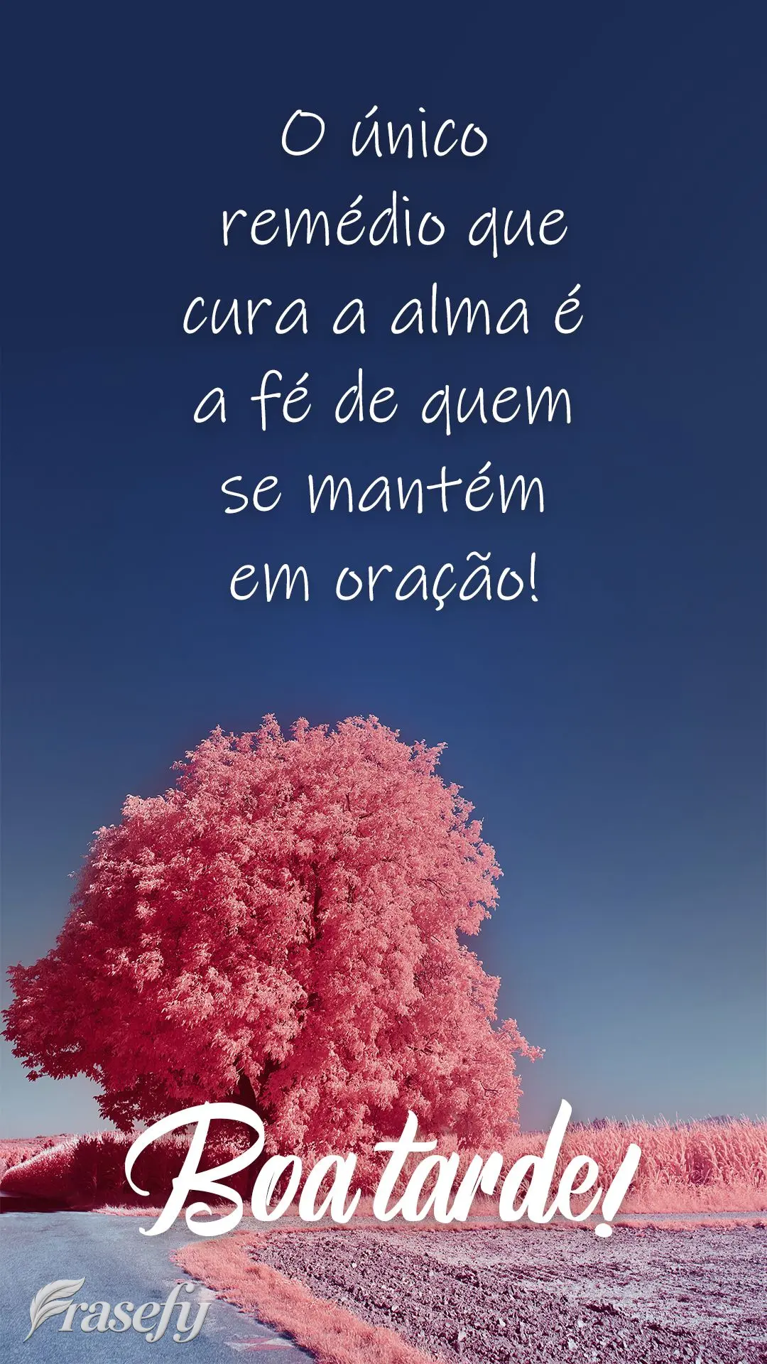 O único remédio que cura a alma é a fé de quem se mantém em oração!  Boa tarde!