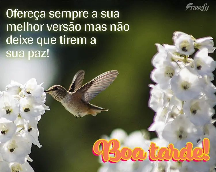 Ofereça sempre a sua melhor versão mas não deixe que tirem a sua paz! Boa tarde!