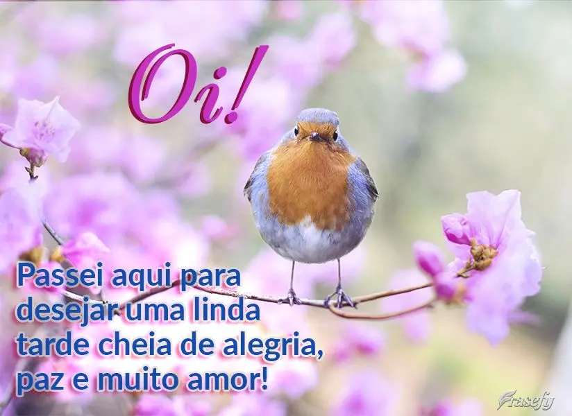Oi! Passei aqui para desejar uma linda tarde cheia de alegria, paz e muito amor!