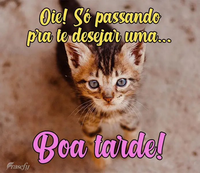 Oie!Só passando pra te desejar uma...
 Boa tarde!