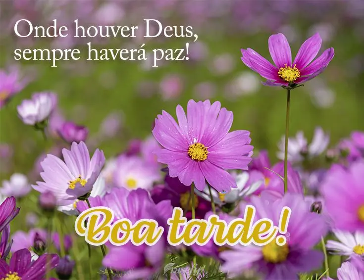 Onde houver Deus, sempre haverá paz! Boa tarde!