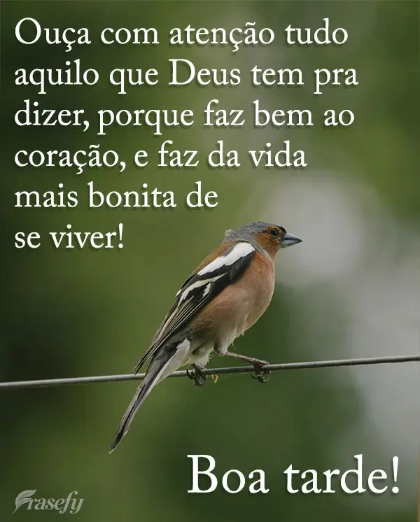Ouça com atenção tudo aquilo que Deus tem pra dizer, porque faz bem ao coração, e faz da vida mais bonita de se viver! Boa tarde!