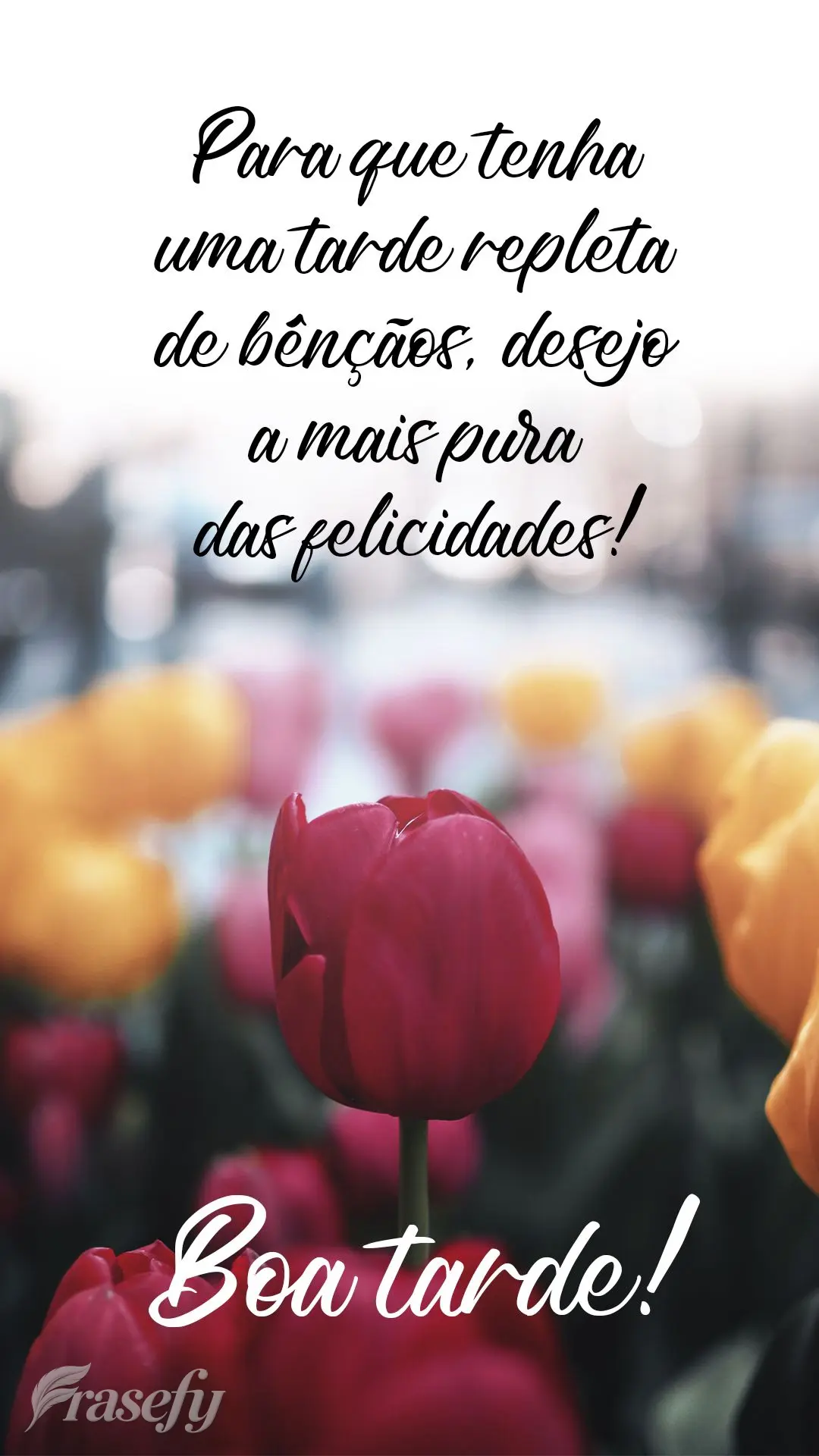 Para que tenha uma tarde repleta de bênçãos, desejo a mais pura das felicidades!  Boa tarde!